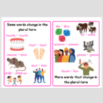 Plural Rules - Image 3